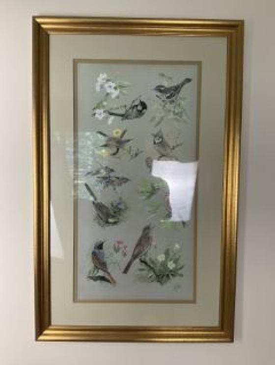 Image for Dual Roanoke Collections