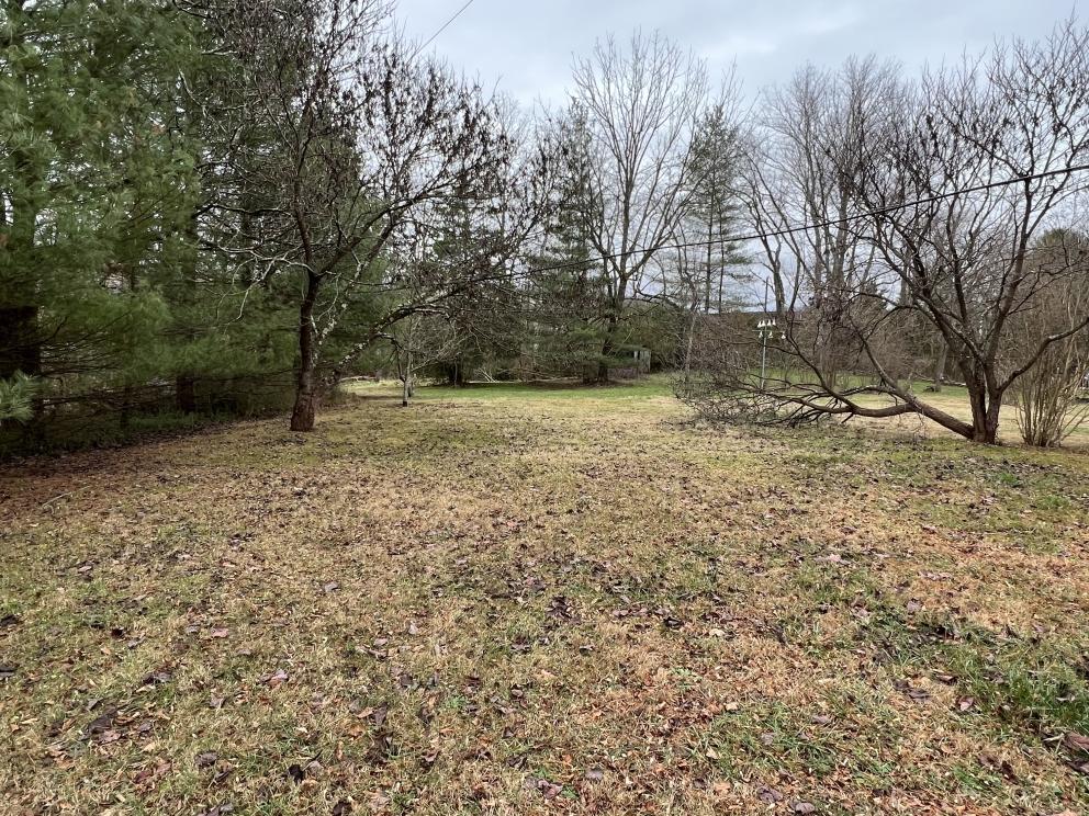 Photo dec 05 2022, 3 20 32 pm