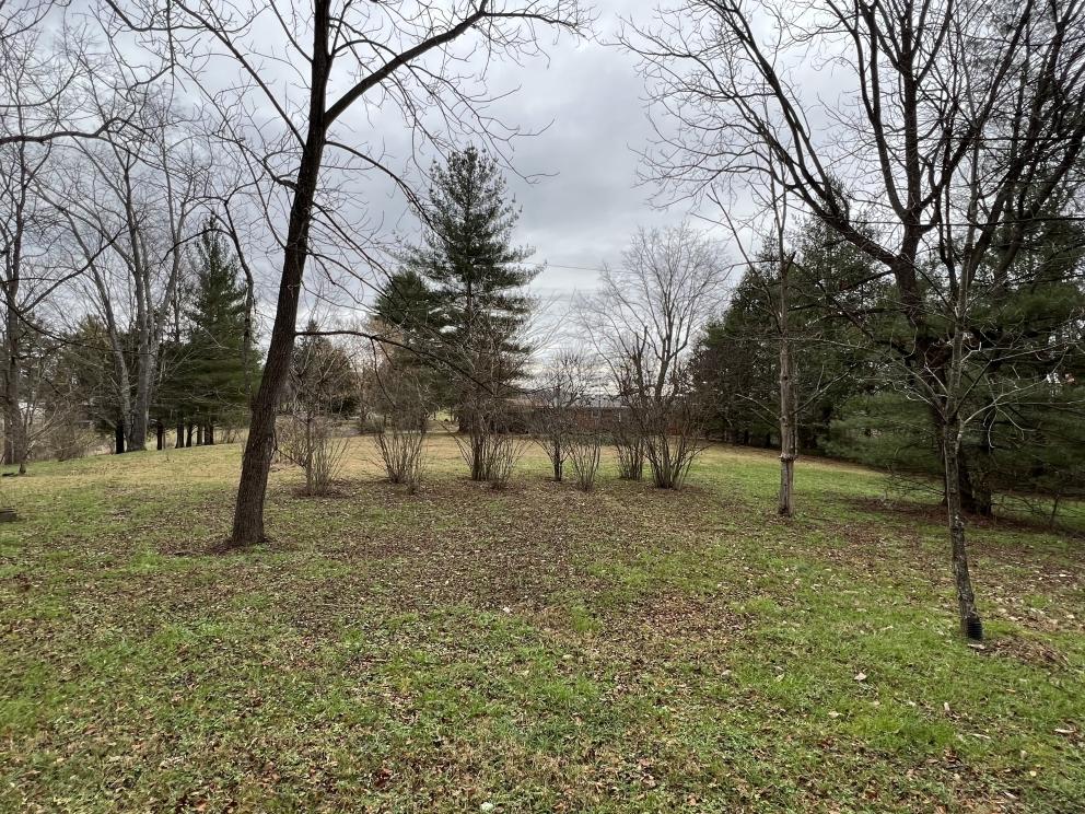 Photo dec 05 2022, 3 22 15 pm