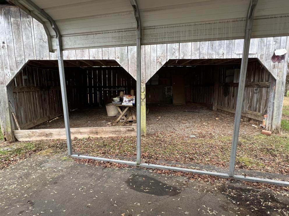 Photo dec 05 2022, 3 25 21 pm