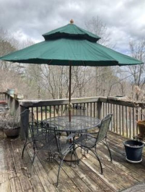 Image for Ingram Family Collection of Radford, VA - Part I