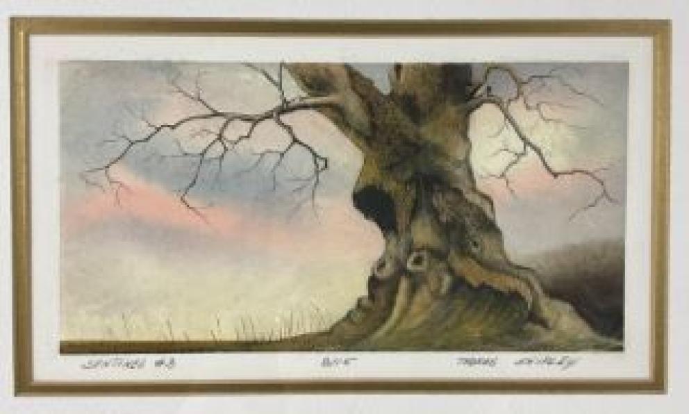 Image for The Morris Estate of Fincastle, VA