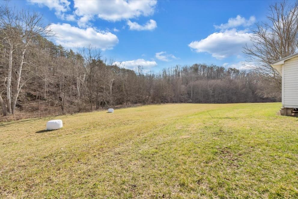 Image for Stately WV Home and Land