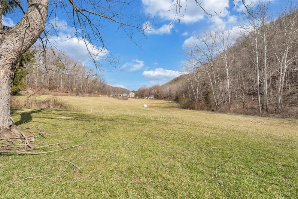 Image for Stately WV Home and Land