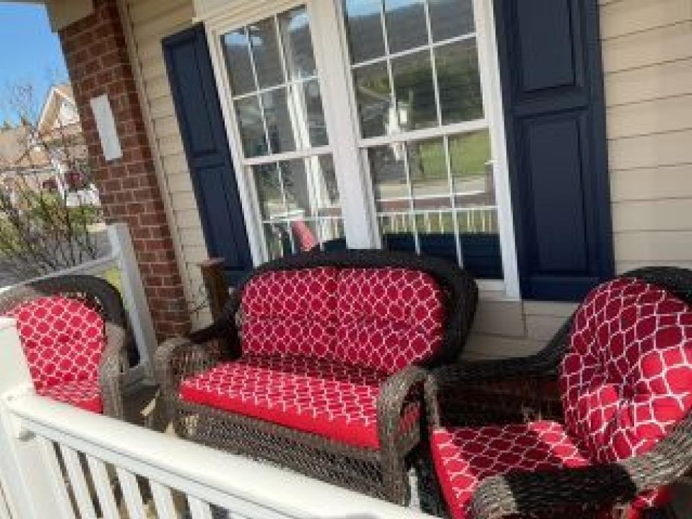 Image for Two Roanoke County Collections