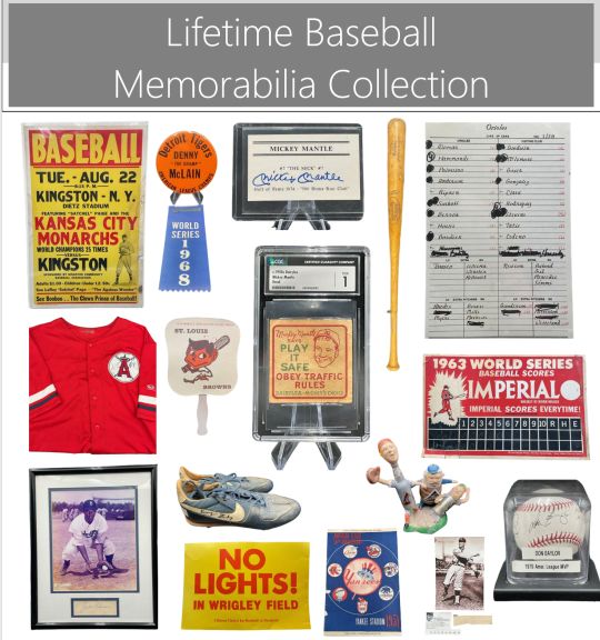Image for Lifetime Baseball Memorabilia Collection