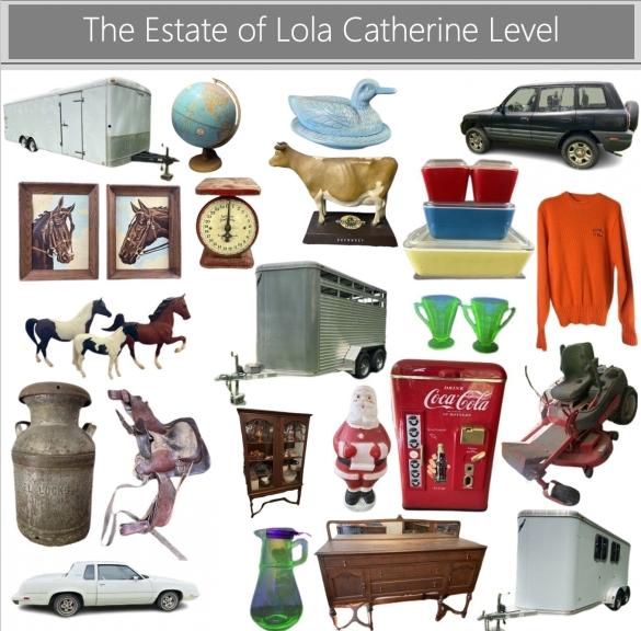 Image for The Estate of Lola Catherine Level