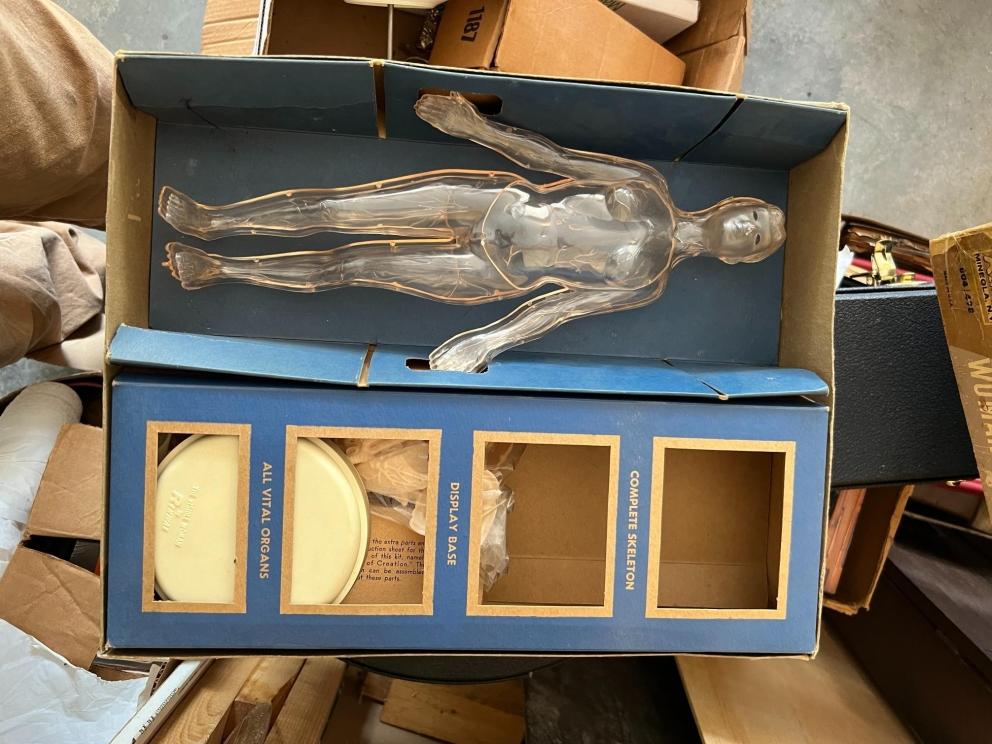 Photo jun 18 2024, 11 36 57 am