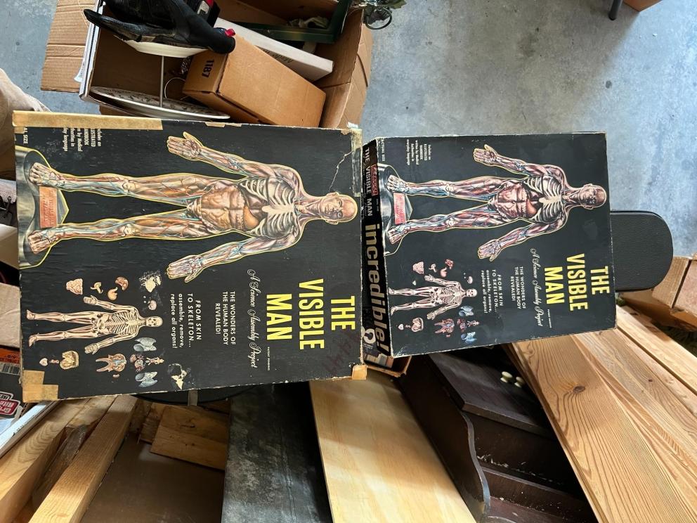 Photo jun 18 2024, 11 37 10 am