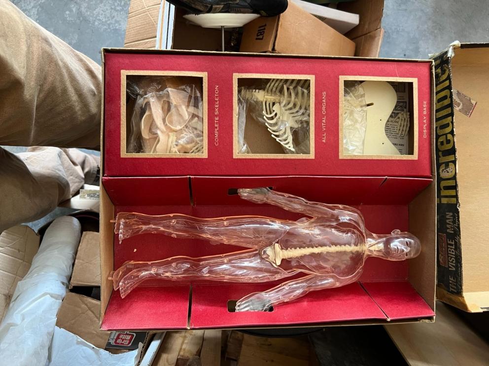 Photo jun 18 2024, 11 37 24 am