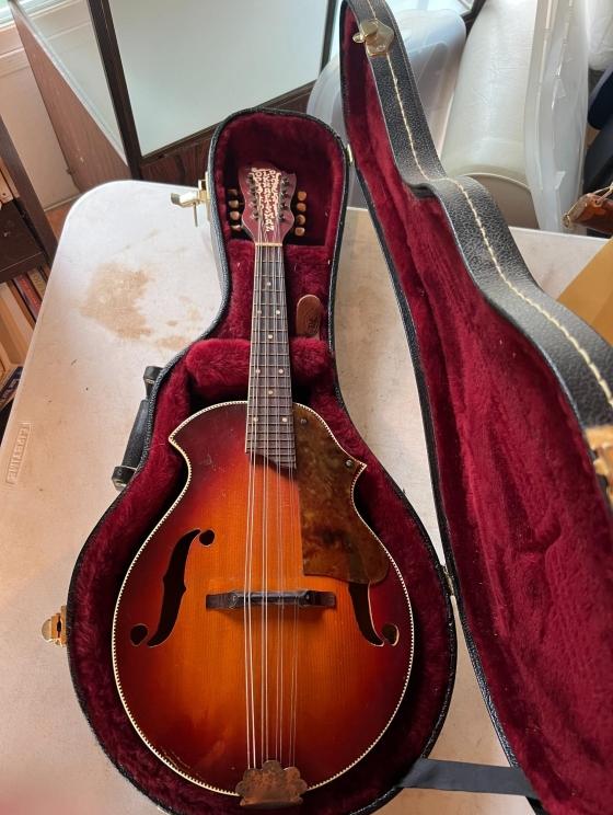 Photo jun 18 2024, 11 54 11 am