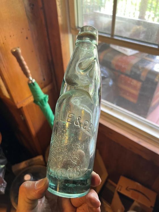 Photo jun 18 2024, 12 09 44 pm