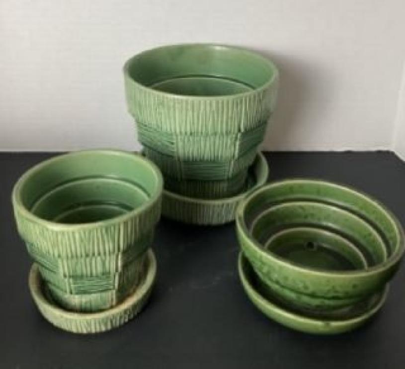 Image for The Amazing Estate of Buck Thompson - Part II