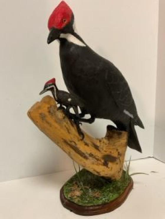 Image for Memorable Moneta Estate