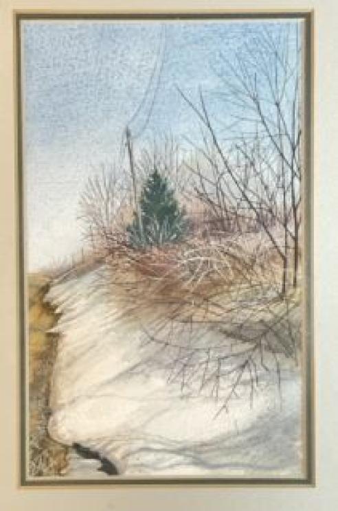 Image for Lifetime Collection of Lois Sadler