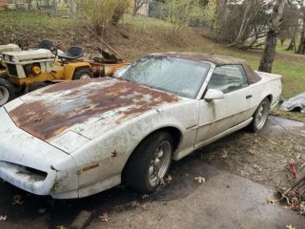 Image for Lifetime Collection of Dallas Jones