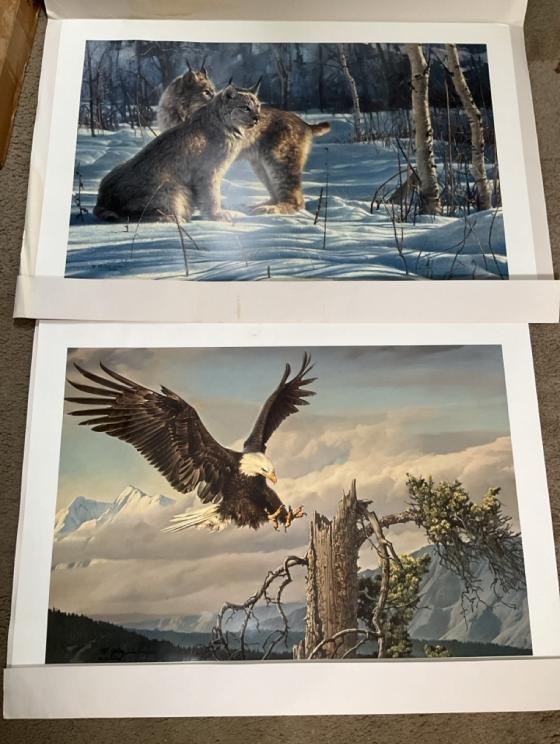 Image for Lifetime Collection of Dallas Jones, Part 2