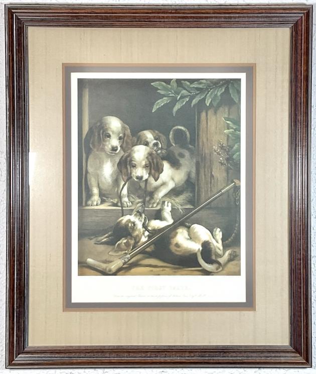 Image for Lovely Estate of Eloise Shelor