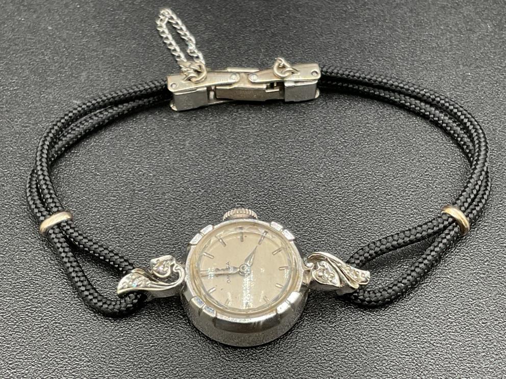 Image for Lovely Estate of Eloise Shelor