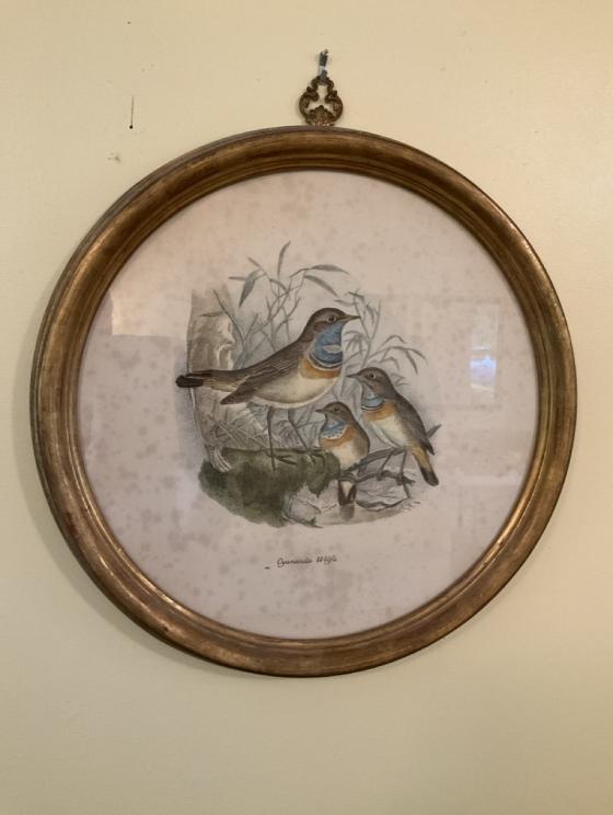 Image for Marvelous Monroe County Downsizing