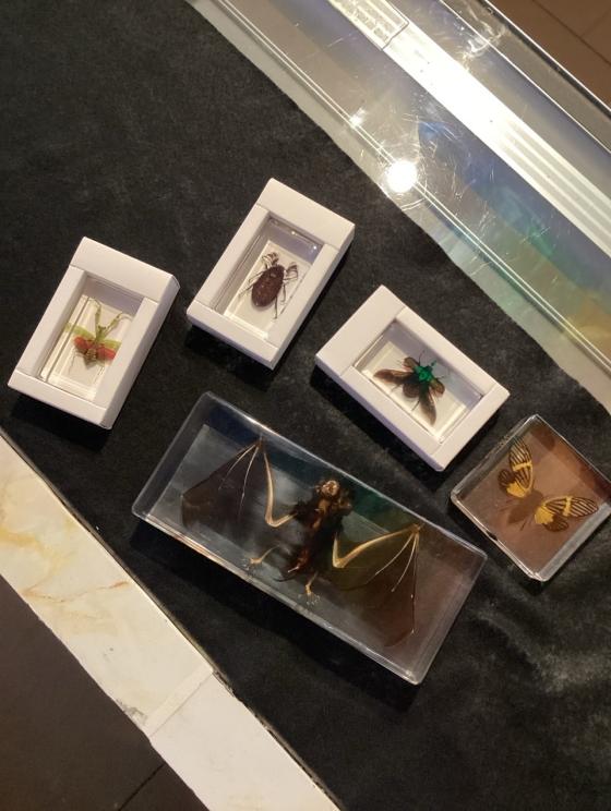 Image for Hinton Store Liquidation