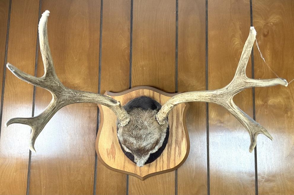 Image for Join the Herd Downsizing in Goodview