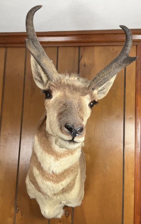 Image for Join the Herd Downsizing in Goodview