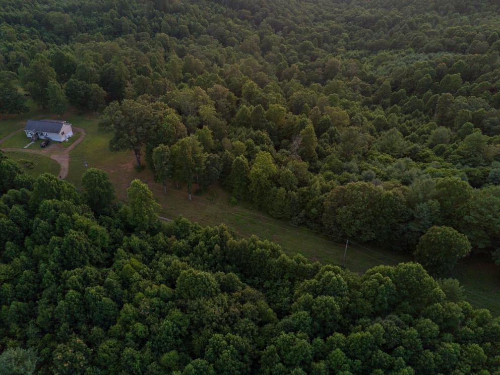 Image for Real Estate & Acreage Auction: Laurel Fork, VA