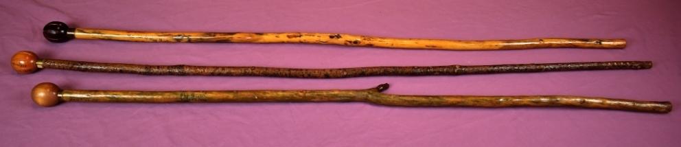 Image for Historical Society of Western Virginia Deaccession Auction