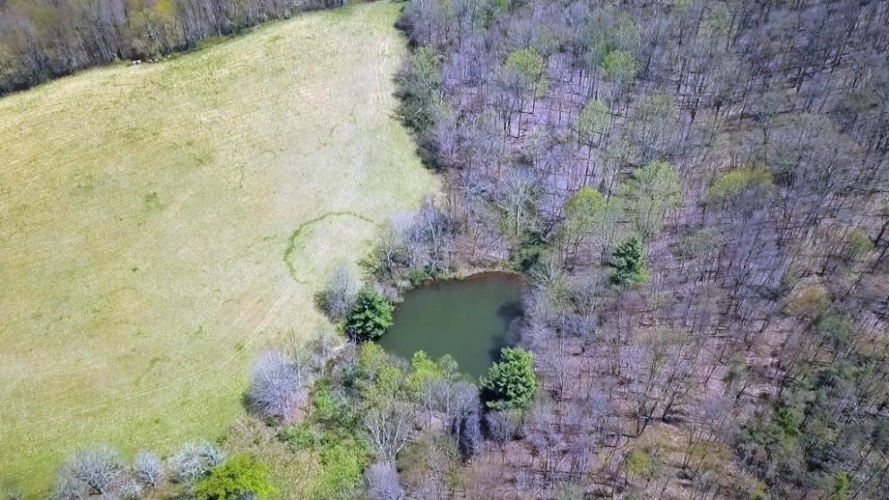 Image for 536 Acres in West Virginia- SEALED BIDDING