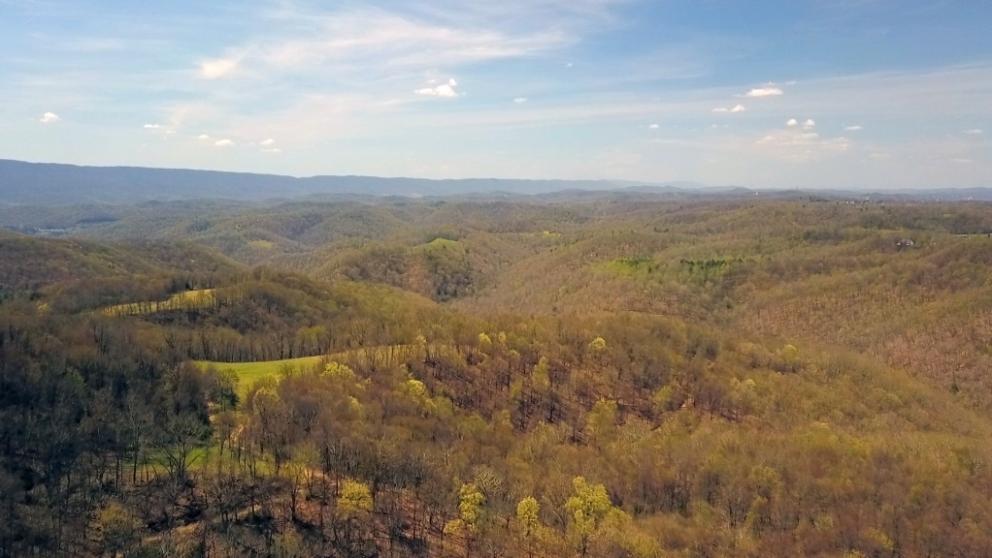 Image for 536 Acres in West Virginia- SEALED BIDDING