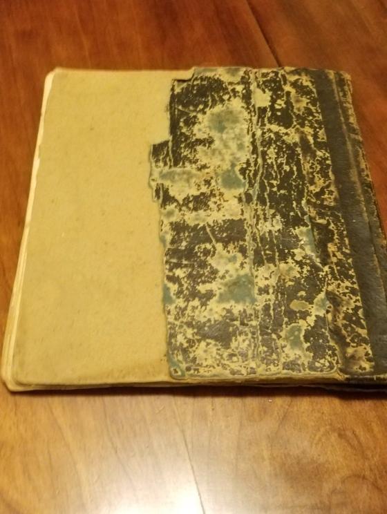 Photo jul 28, 6 41 59 am