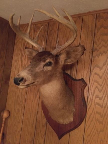 Image for Lifetime Collection of Dr. John Gaines