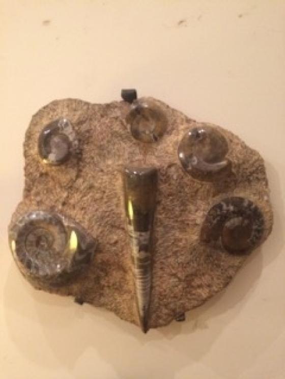 Image for The Incredible Keene Downsizing Auction