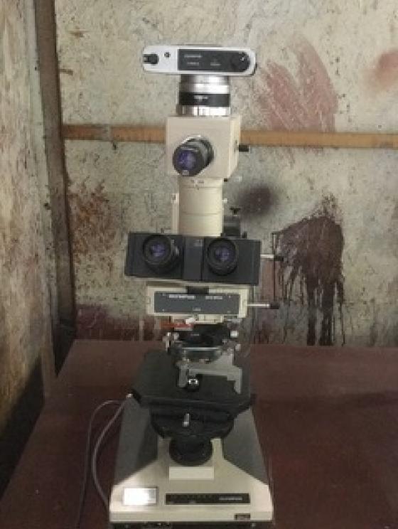 Image for University Surplus Auction