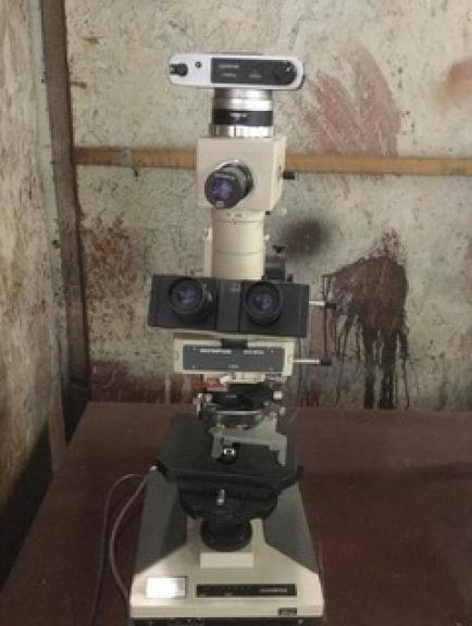 Image for University Surplus Auction