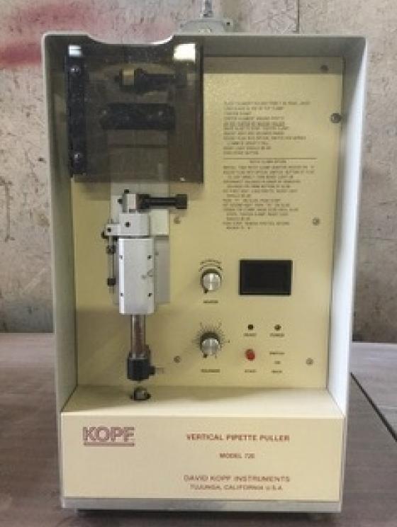 Image for University Surplus Auction