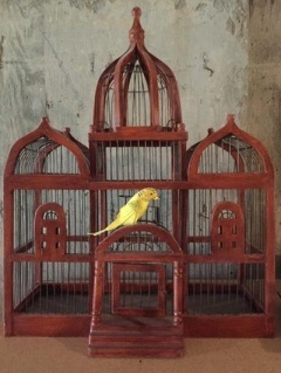 Image for URGENT SHORT NOTICE - Kaufman Estate