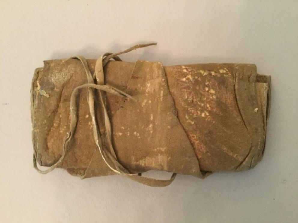 Image for The Anna Ward Wilson Collection