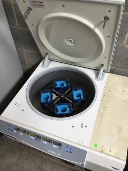 Image for University Surplus Auction