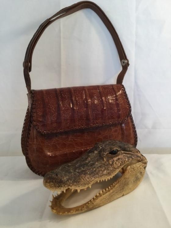 Image for Amazing Collection of Terry Synan Part III