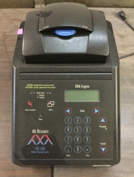 Image for University Surplus Auction