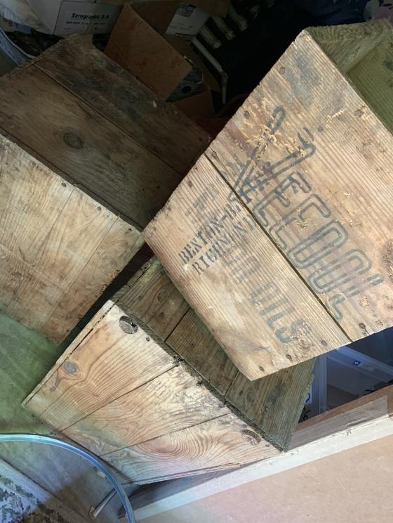 Image for LIVE - Large White Sulphur Estate