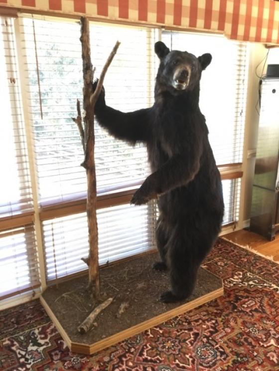 Image for SHORT NOTICE Dr. and Mrs. Dean Evans Collection - Princeton, WV