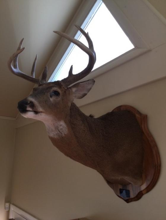 Image for SHORT NOTICE Dr. and Mrs. Dean Evans Collection - Princeton, WV