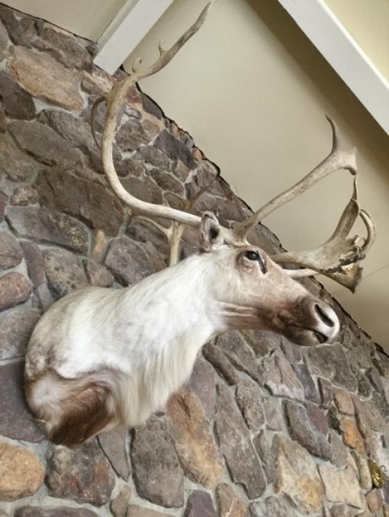 Image for SHORT NOTICE Dr. and Mrs. Dean Evans Collection - Princeton, WV