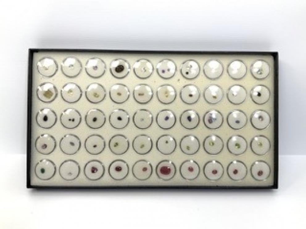 Image for Unique Rarities and Nifty Finds