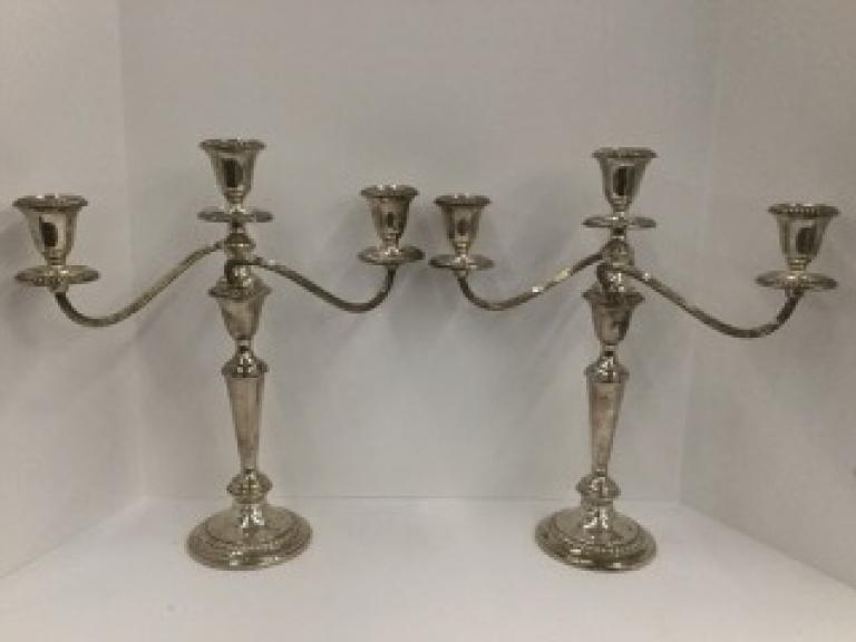 Image for The Robin Agee Collection of Farmville, VA