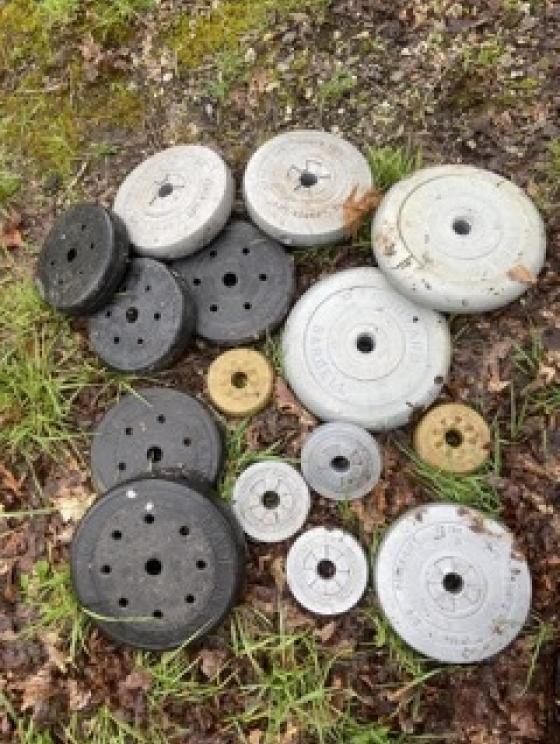 Image for The Brumfield Collection of Greenbrier County, WV