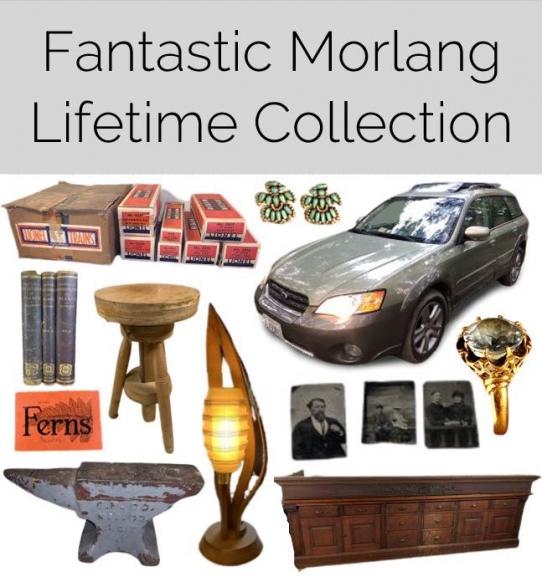 Image for Fantastic Morlang Family Lifetime Collection